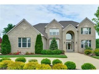 18604 Stony Point Dr, Cleveland, OH 44136-8170