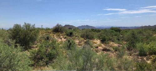10789 Falling Star Dr, Scottsdale, AZ 85262-5223