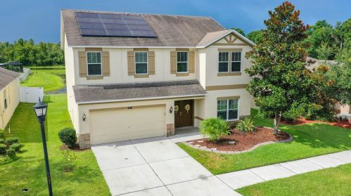 18308 Fish Loop, Land O Lakes FL  34638-6114 exterior