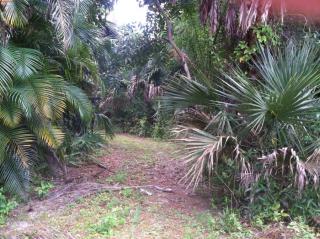 11172 164 Ct, Jupiter FL  33478-6146 exterior