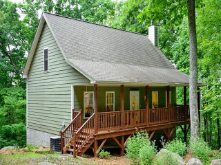 47 Lost Mountain Ln, Asheville, NC 28805-8782