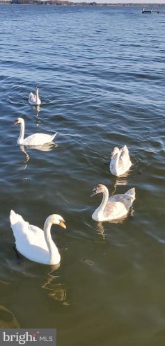 1578 Royal Way, Montross VA  22520-4045 exterior