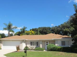 8883 141st Loop, Summerfield, FL 34491-9767