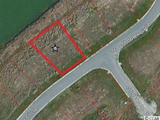733 Trap Shooter Cir, Longs, SC 29568-9495