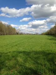 5824 Dickens Hill Rd, Bradyville, TN 37026-5312