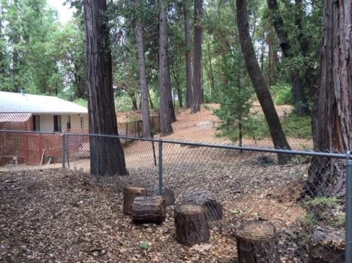 24876 Deadwood Ct, Pioneer CA  95666-9434 exterior