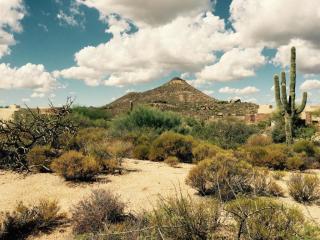 9975 Groundcherry Ln, Scottsdale, AZ 85262-2918