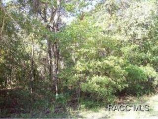 3008 Hester St, Inverness, FL 34453-0806