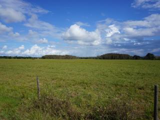 5300 Canoe Creek Rd, Kenansville, FL 34739-9619