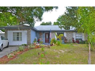 1201 Windy Ridge Dr, Brandon, FL 33510-2932