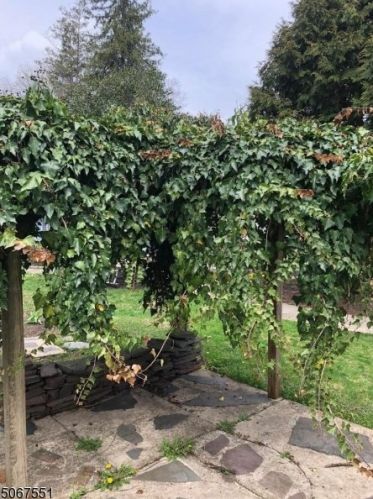 522 2nd St, Belvidere NJ  07823-1521 exterior