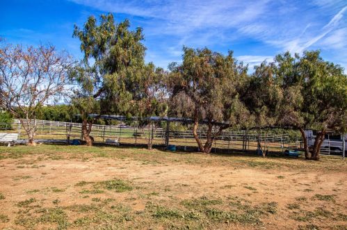 6960 Lilac Rd, Bonsall CA  92003-4312 exterior