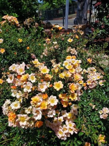 28 Rockridge Rd, Oroville CA  95966-3639 exterior