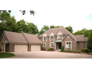 6363 Brynwood Dr, Medina, OH 44256-9729