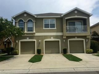8858 Moonlit Meadows Loop, Riverview, FL 33578-8836