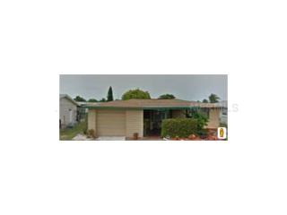 3525 Umber Rd, Tarpon Springs, FL 34691-3356