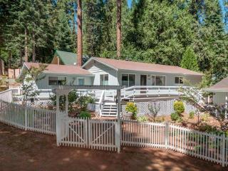 17011 Alpine Dr, Pioneer, CA 95666-9679