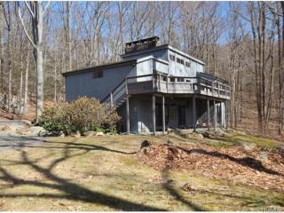 193 Ressique Rd, Stormville, NY 12582-5740