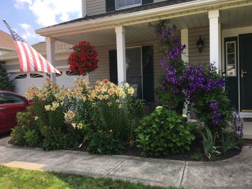 932 Norwegian Wood Dr, Medina, OH 44256-3520