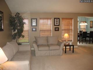 10134 Ridgeview Ct, Streetsboro, OH 44241-6602