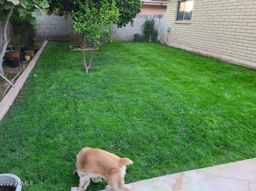 4426 El Caminito Dr, Glendale AZ 85302-6025 exterior