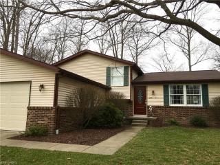 248 Timber Trl, Medina, OH 44256-2163
