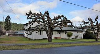 324 Lincoln Ave, Tenino, WA 98589-9381