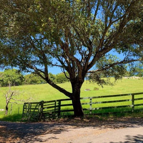5850 Sonoma Mountain Rd, Santa Rosa, CA 95404-8520