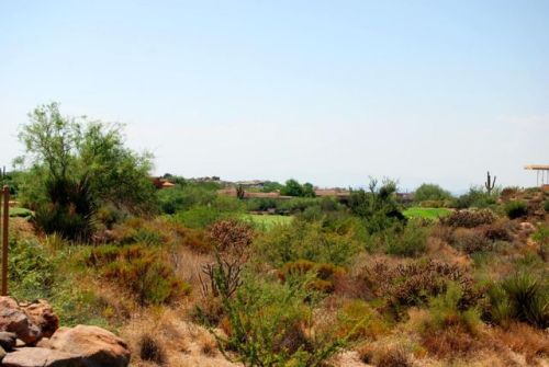 29566 107th Pl, Scottsdale, AZ 85262-4311