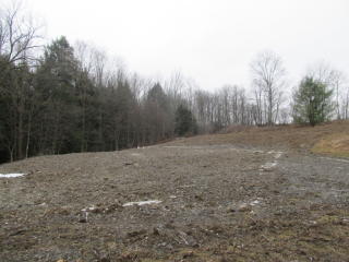 99 Oregon Hill Rd, Centerlisle, NY 13797-1002