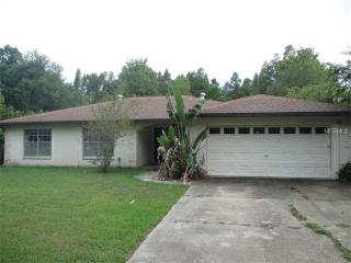 4725 Debbie Ln, Lutz, FL 33559-8500