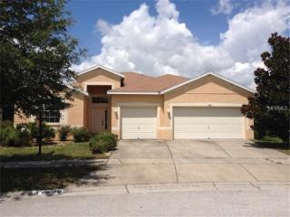 11420 Bridge Pine Dr, Riverview, FL 33569-2947