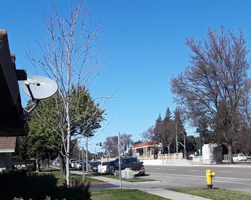 823 Capitol Ave, San Jose CA 95127-3914 exterior