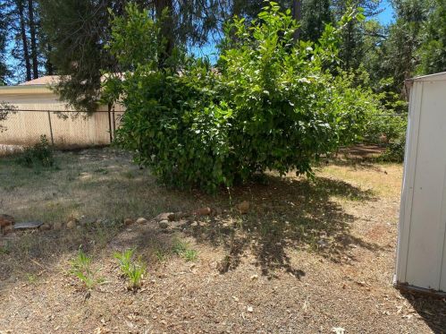 14159 Skyway, Nimshew CA  95954-9471 exterior