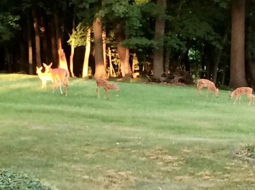 12 Highland Ave, Walden NY  12586-1402 exterior