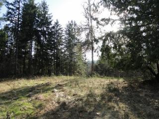 18631 Sorenson Rd, Yelm, WA 98597-7945