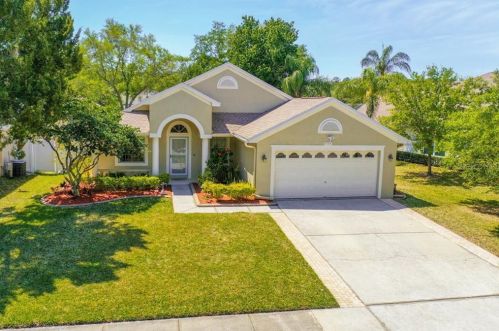 4784 Ridgemoor Cir, Palm Harbor FL  34685-3149 exterior