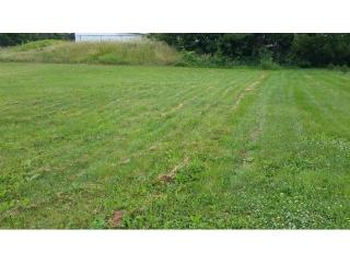 1393 5th Ave, Otisco, MN 56093-4676