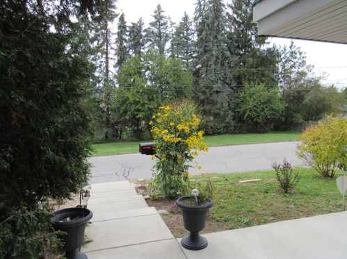 936 Spruce St, Ambridge, PA 15003-1631