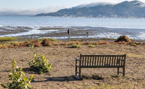 283 Cecilia Way, Tiburon CA  94920-2105 exterior