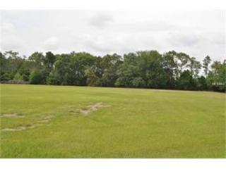 19006 Deer Point Pl, Odessa, FL 33556-2275