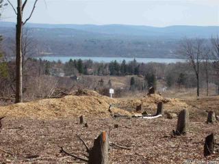 3 Cameron Ct, Marlborough, NY 12542-5181