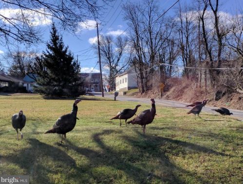 210 Hoernerstown Rd, Hummelstown PA  17036-9503 exterior