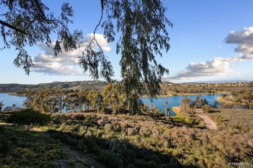 11160 Caminito Vista Pacifica, San Diego CA 92131-3301 exterior