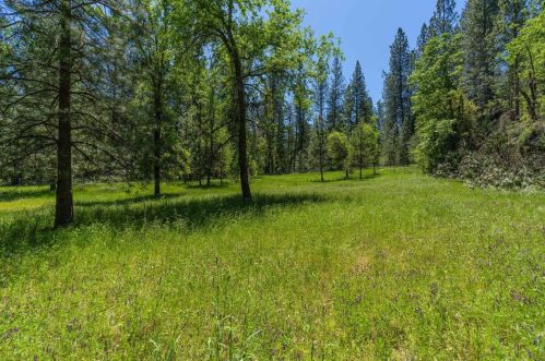 16580 Highway 26, Glencoe CA  95232-9712 exterior