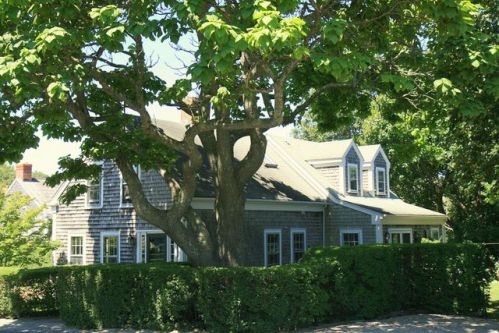 26 Prospect St, Nantucket, MA 02554-2741
