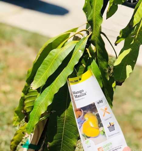 1563 Dawley Ave, City Of Industry CA  91744 exterior