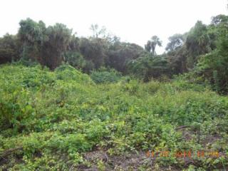 235 Euclid Pl, Labelle, FL
