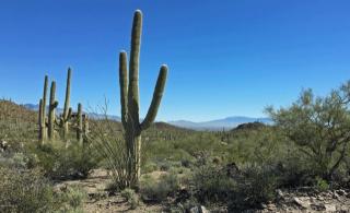 3424 Via Arroyo Bonito, Tucson, AZ 85745-9813