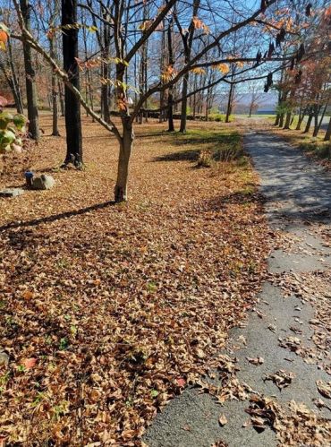 2836 Route 94, Washingtonville NY  10992-1428 exterior